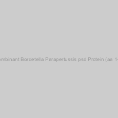 Image of Recombinant Bordetella Parapertussis psd Protein (aa 1-253)